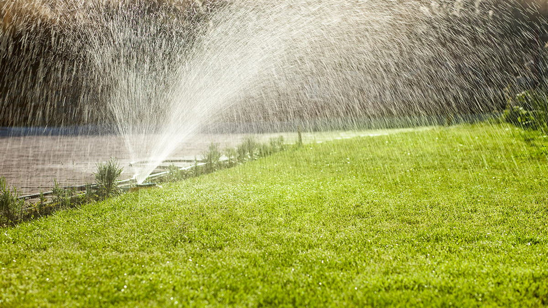 cut wet grass