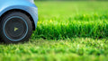 O que é escalpelamento de gramado e quando você deve fazê-lo?